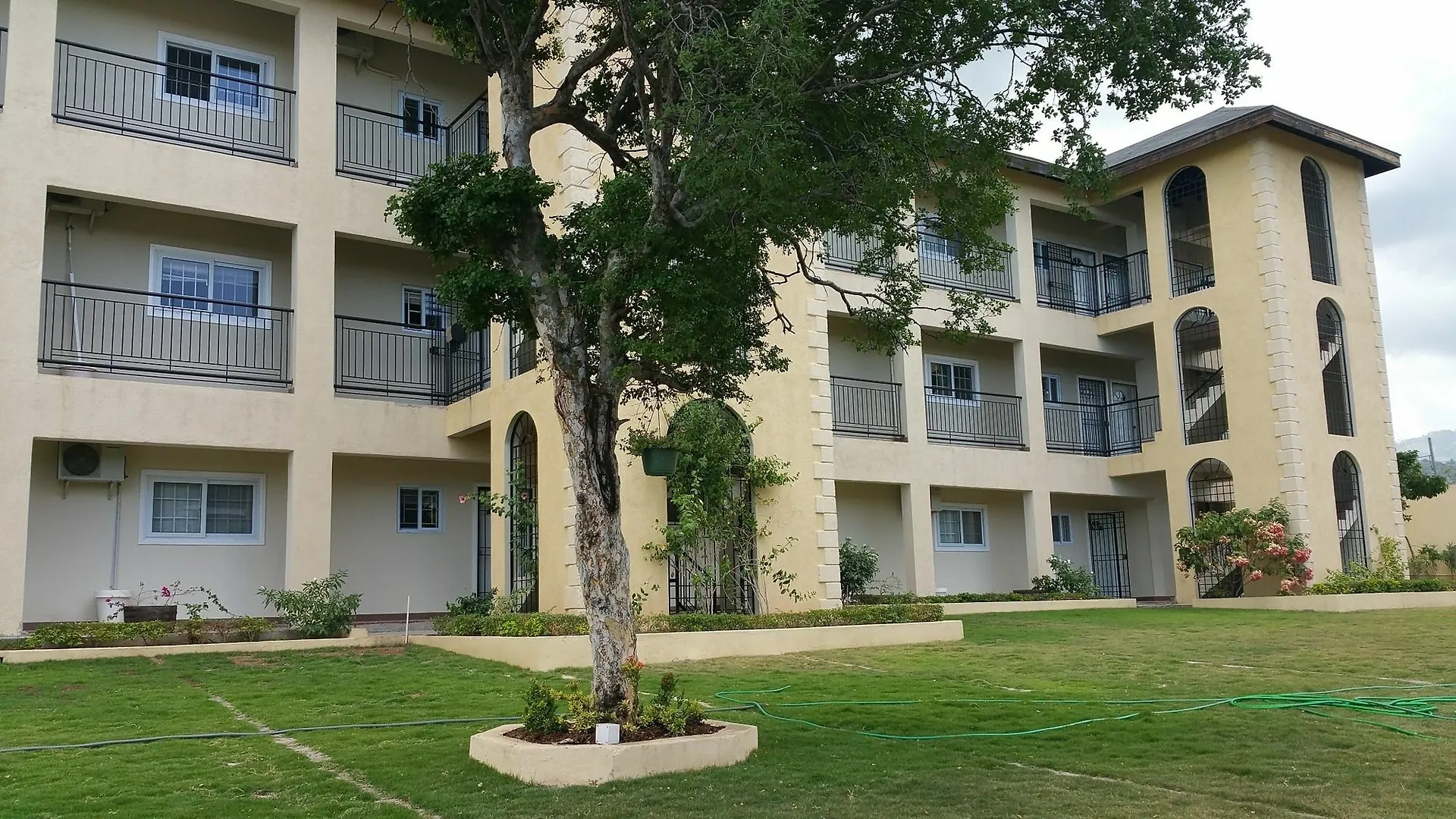 New Kingston Guest Apartments @ Donhead 0*,  ג'מייקה